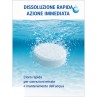 dettaglio azione Pastiglie cloro piscina 20 g Nytra 5 kg – Dicloro 56% a dissoluzione rapida irrifarma.it