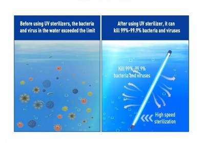Guida Essenziale alle Lampade UV: Sicurezza e Igiene per l'acqua potabile