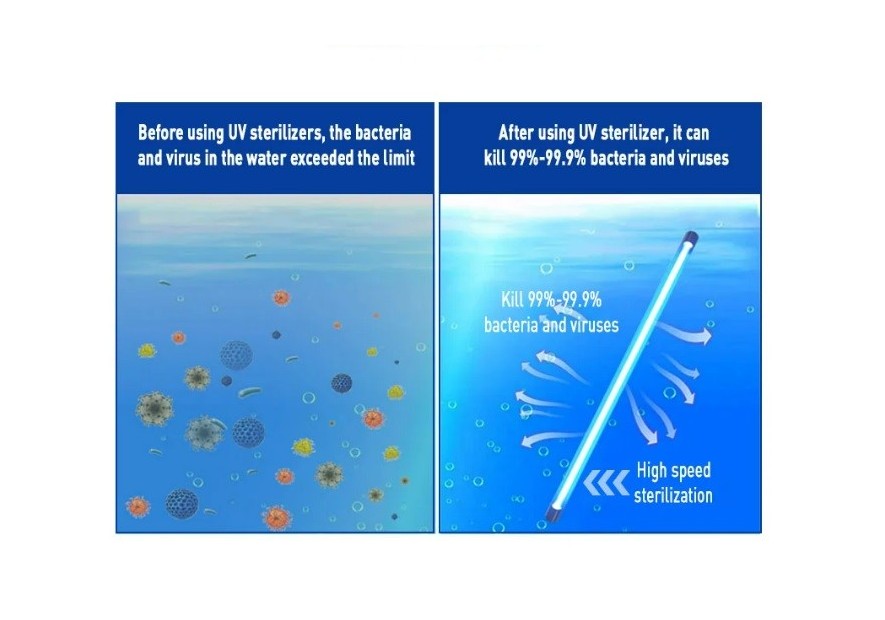 Guida Essenziale alle Lampade UV: Sicurezza e Igiene per l'acqua potabile Guida Essenziale alle Lampade UV: Sicurezza e Igiene per l'acqua potabile