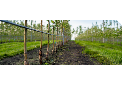 Irrigazione efficiente in agricoltura: il progetto Riga