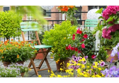 Impianto Irrigazione Terrazzo e Balcone: Come Salvare le Tue Piante in Estate