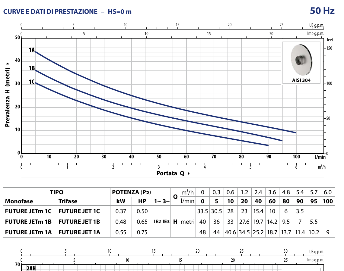 Curve e dati di prestazione Pedrollo Future JETm 1A 50 Hz