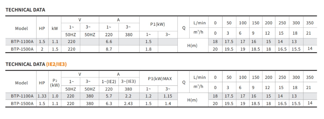portata e prevalenza Glong BTP 1100 pompa idromassaggio piscina