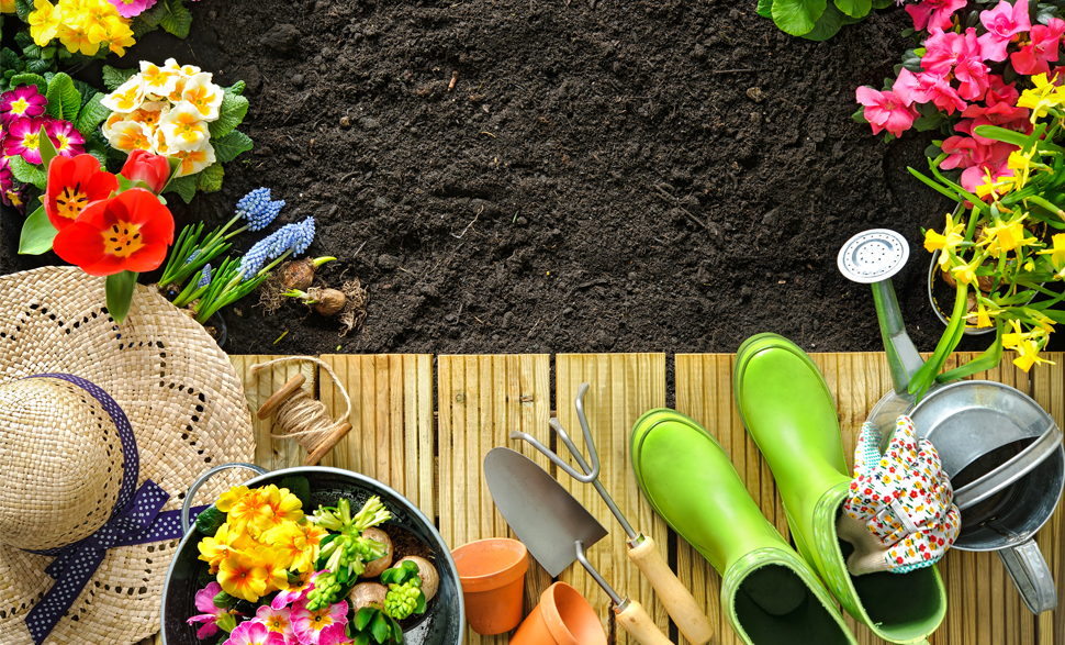 Il risveglio del giardino, la preparazione