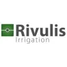 Rivulis